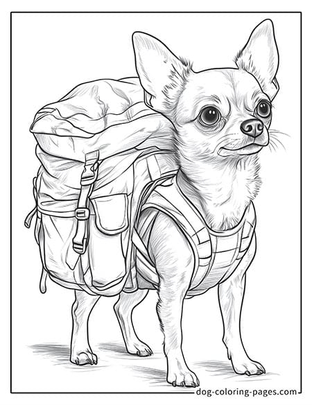 12 Cute Chihuahua Dog Coloring Pages Free Printable Downloadable
