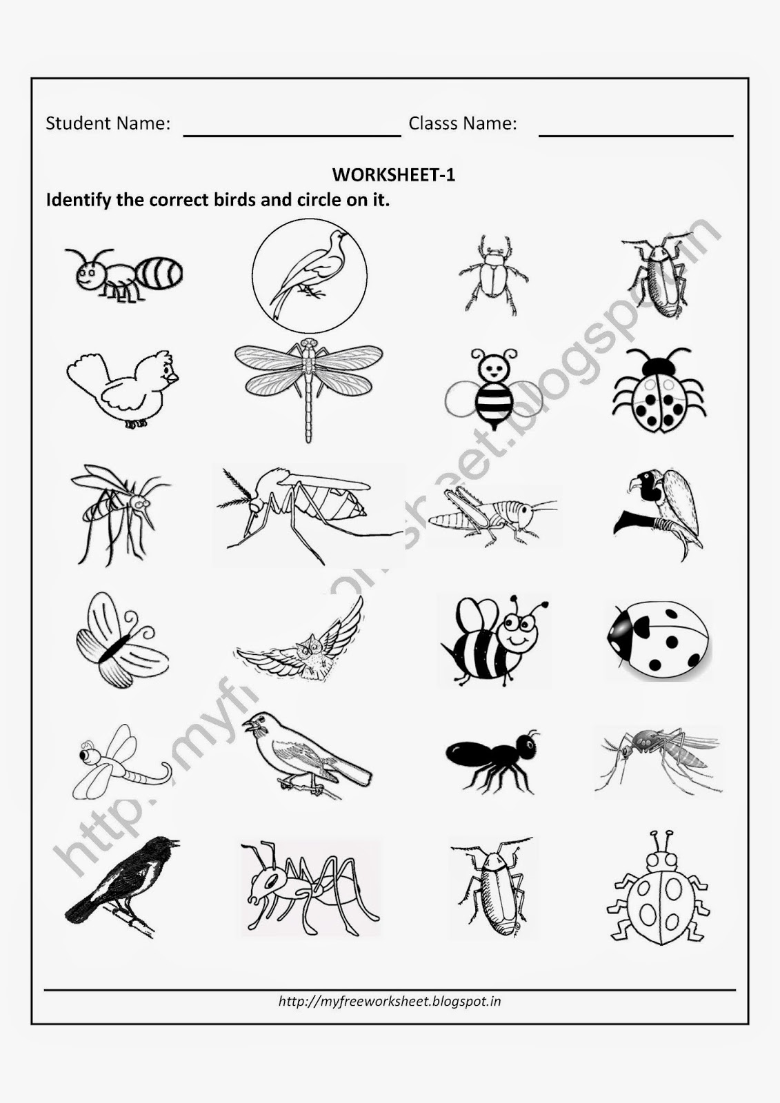 12 Free Printable Preschool Worksheets Insects Worksheeto