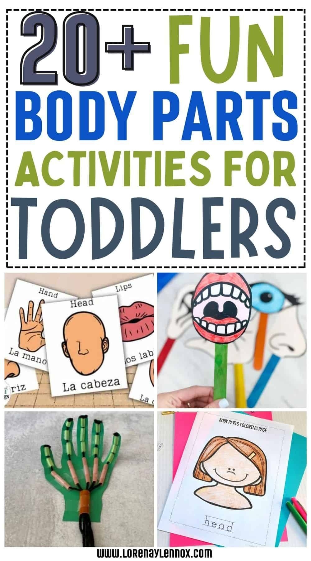 my body theme activities for toddlers printable