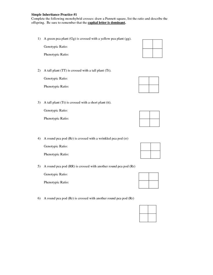 20 Pea Plant Punnett Square Worksheet Answer Key Worksheets Decoomo