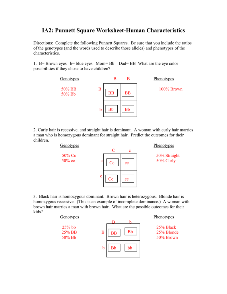 20 Pea Plant Punnett Square Worksheet Answer Key Worksheets Decoomo
