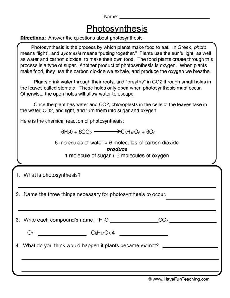 20 Photosynthesis Worksheet Pdf Worksheets Decoomo