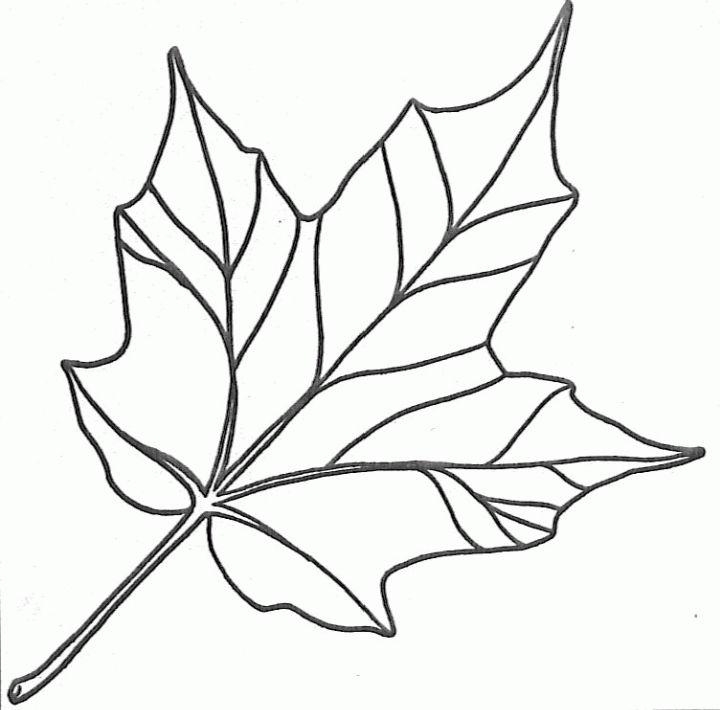 free leaf coloring pages