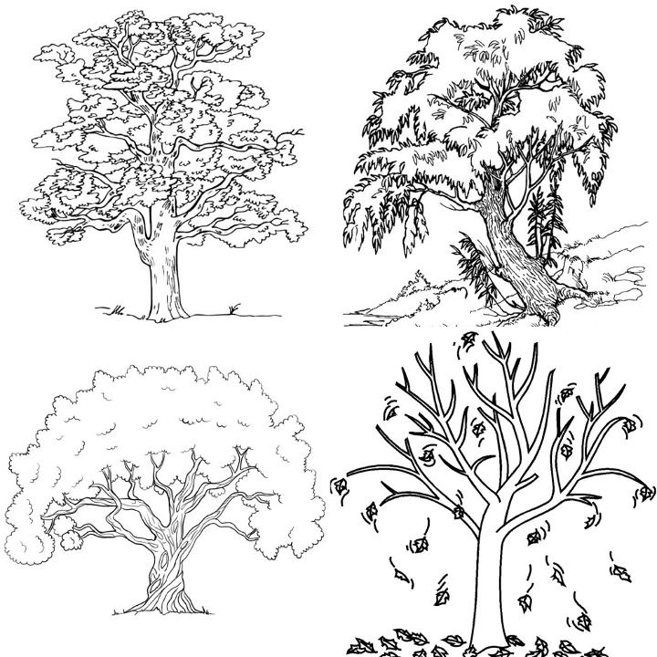 free tree coloring pages