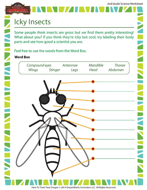 2nd Grade Science Worksheets Free Scienceworksheets