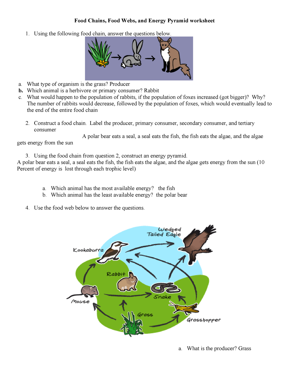 3 3 Trophic Structures Worksheet Food Chains Food Webs And 