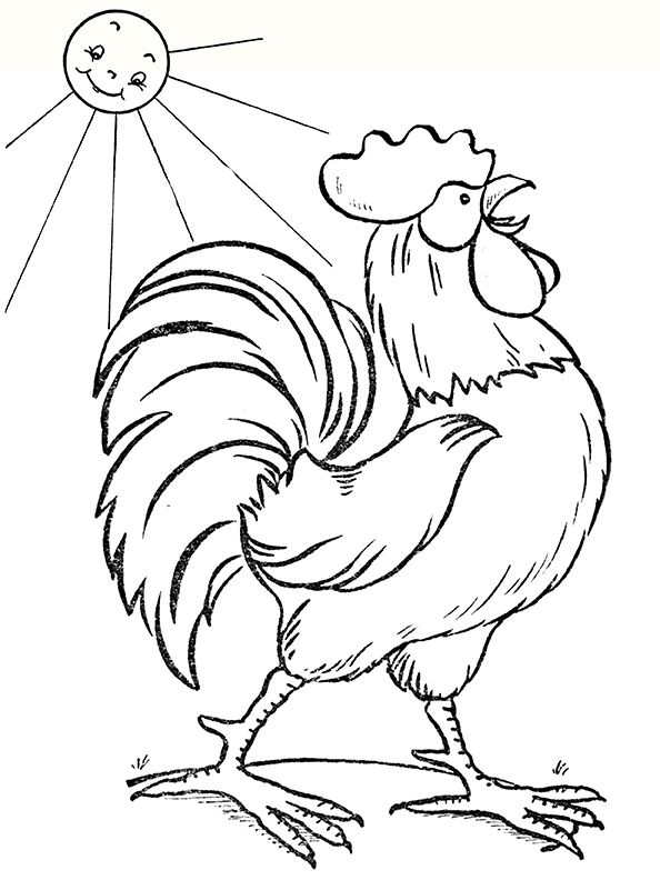 4 Chicken Coloring Pages The Graphics Fairy Chicken Coloring Pages