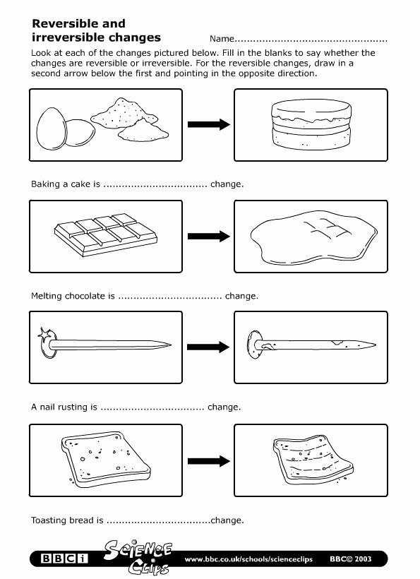 47 Physical Vs Chemical Changes Worksheet