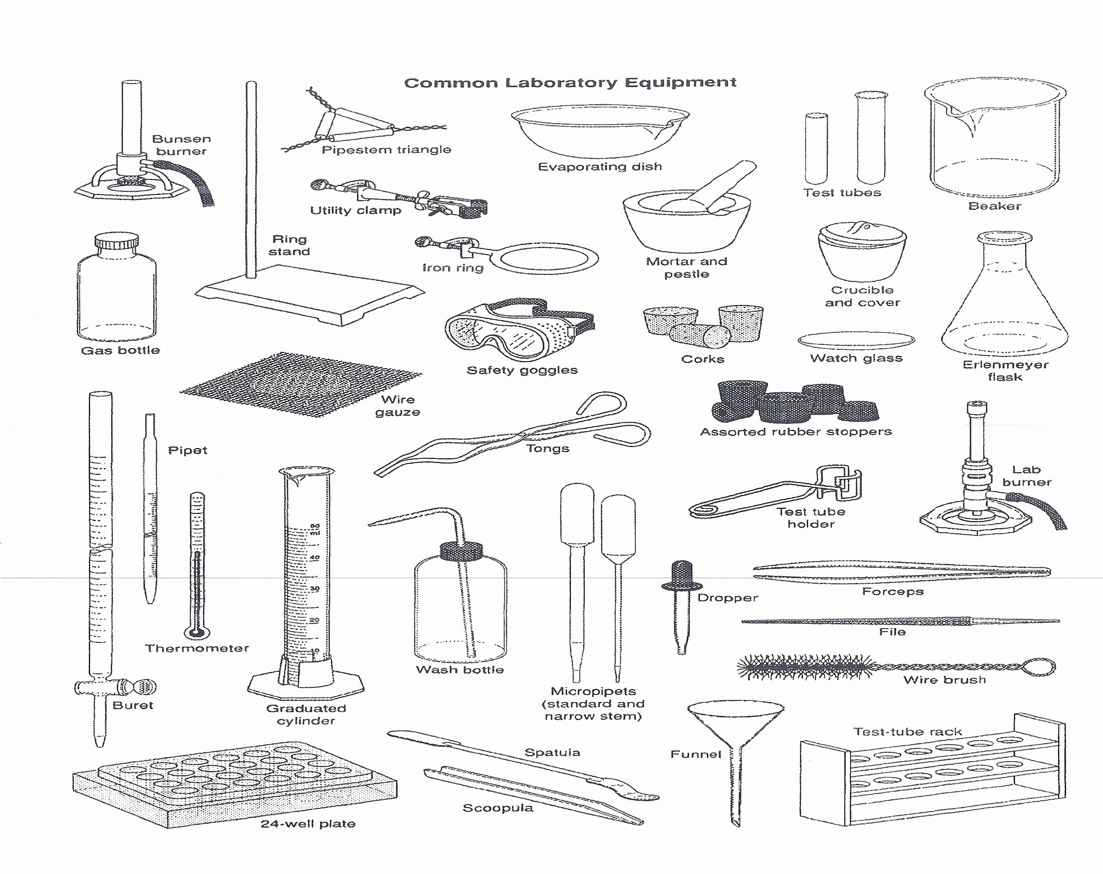 50 Chemistry Lab Equipment Worksheet