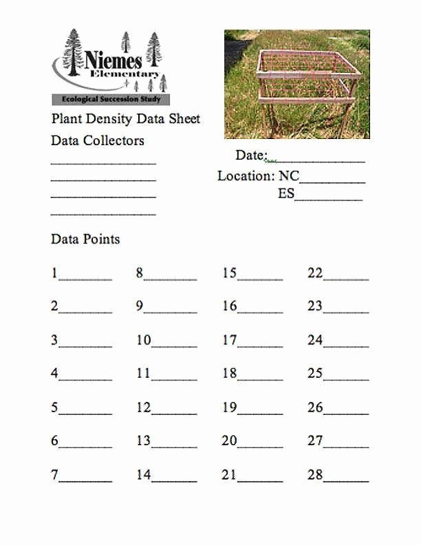 50 Ecological Succession Worksheet Answers Chessmuseum Template Library
