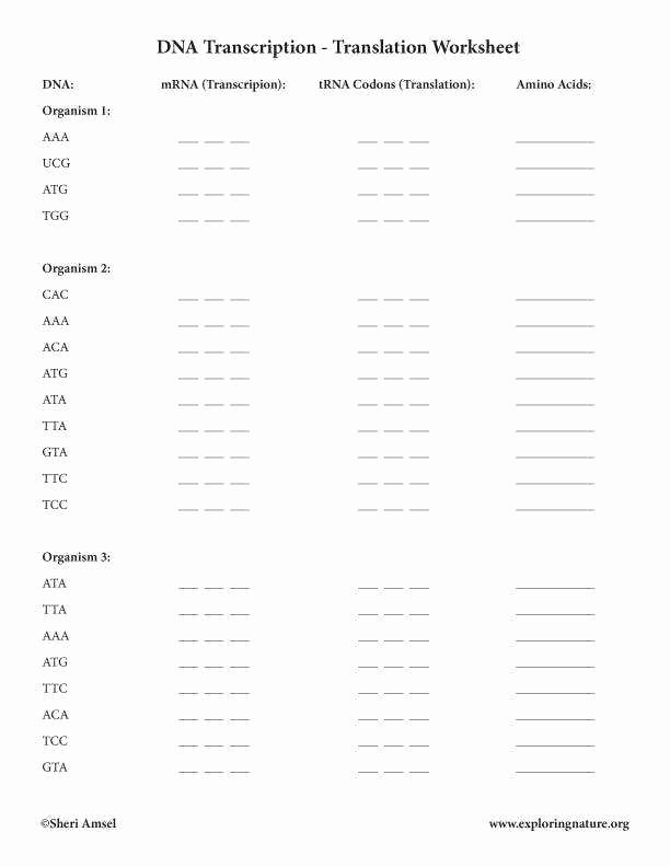 ecological succession worksheet answers