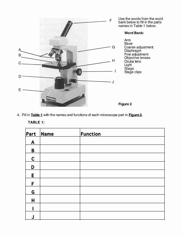 microscope parts worksheet