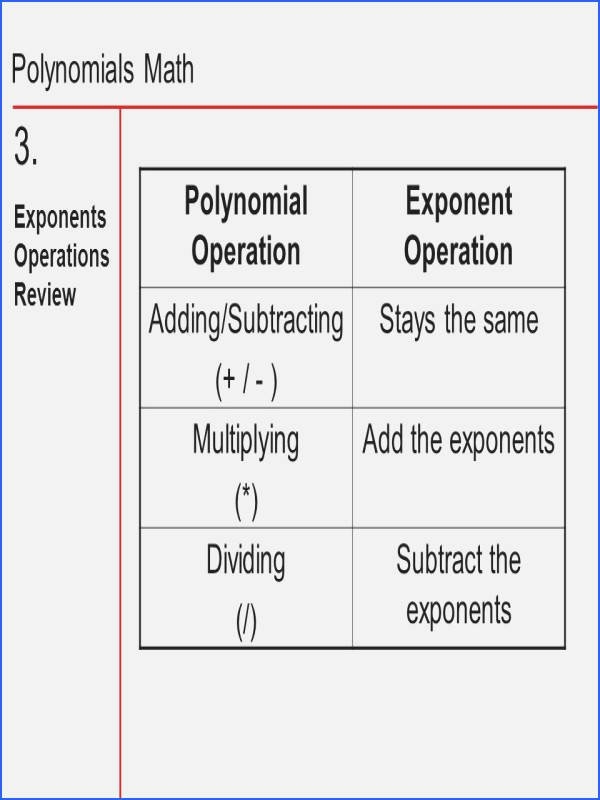 50 Operations With Polynomials Worksheet Chessmuseum Template Library