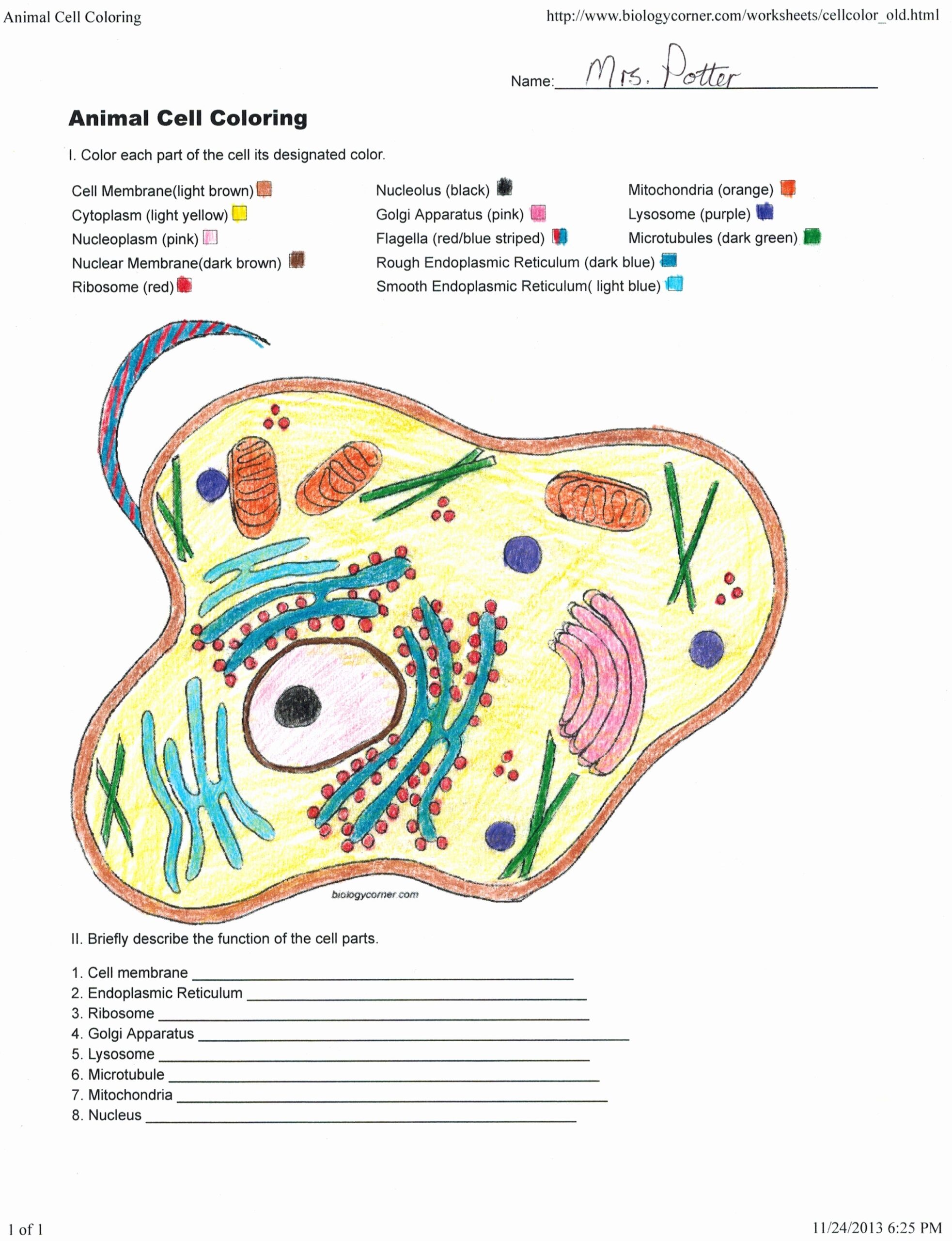 50 Plant Cell Coloring Worksheet Chessmuseum Template Library