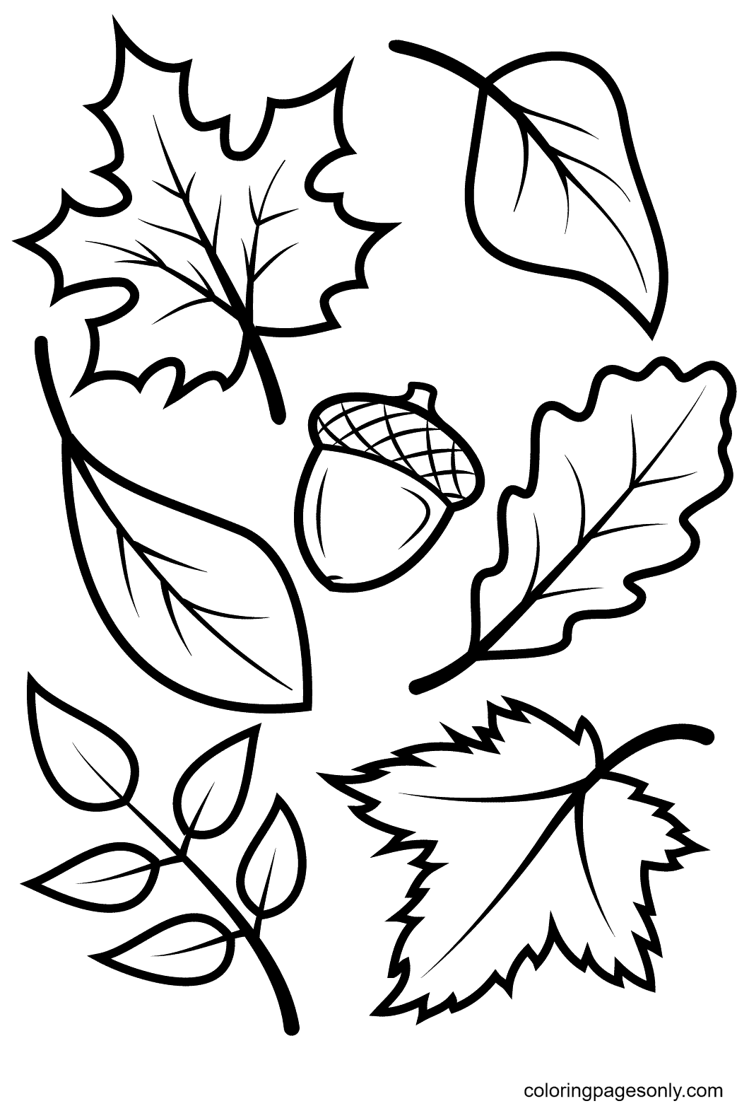 55 Autumn Leaves Coloring Pages ColoringPagesOnly