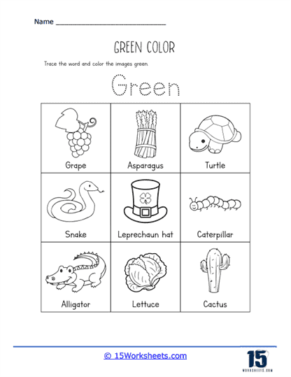 green worksheet