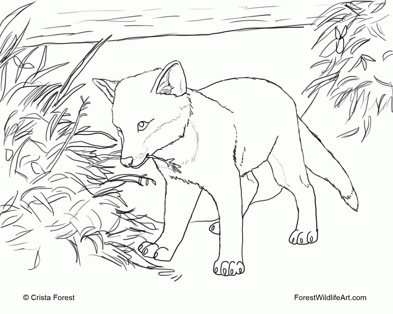 Coloring Pages Of Foxes