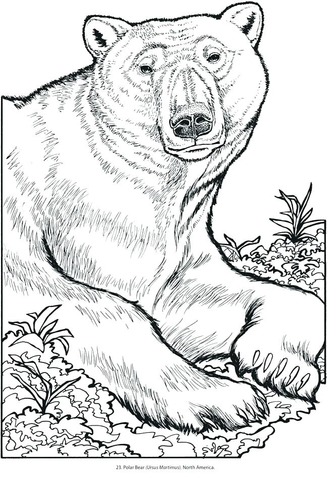 Animal Color Pages Free Printable