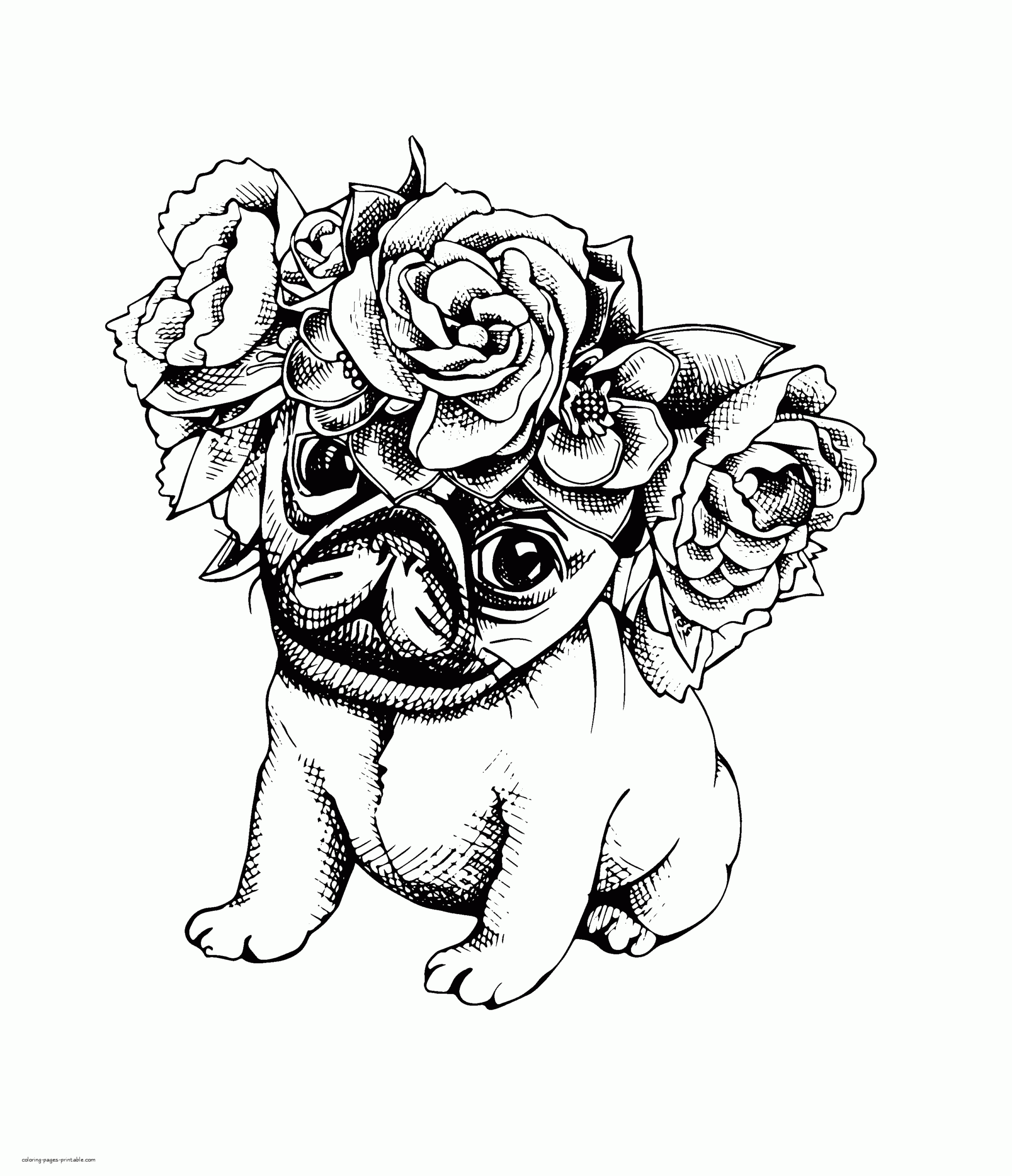 Animal Coloring Pages For Adults Puppy COLORING PAGES PRINTABLE COM