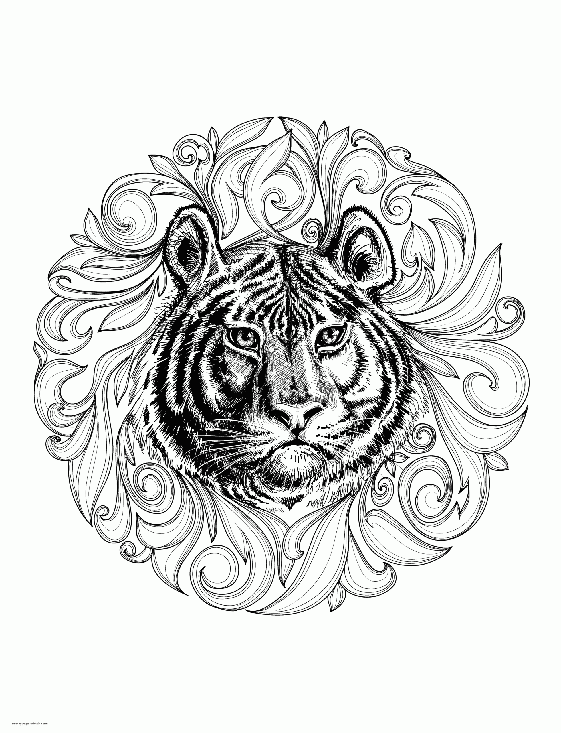 Animal Coloring Pages For Adults Realistic Tiger COLORING PAGES
