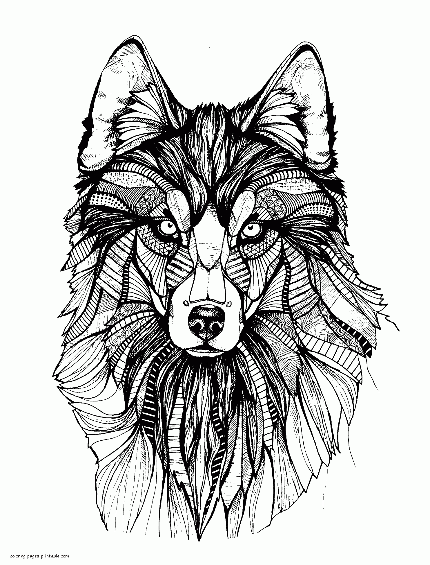Animal Adult Coloring Pages