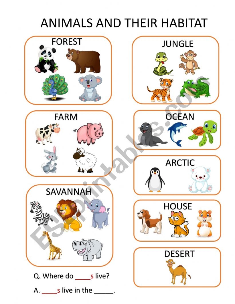 Animals And Their Habitats ESL Worksheet By Marinest