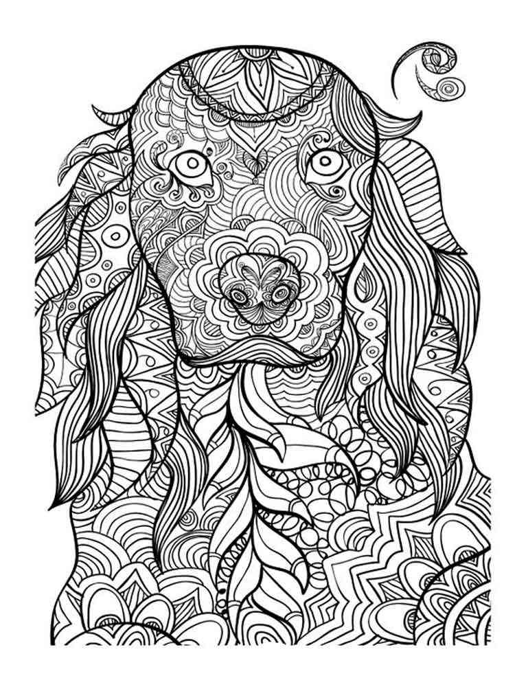 Animals Coloring Pages For Adults Free Printable Animals Coloring Pages 