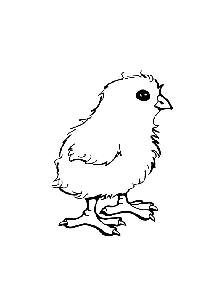 Chick Coloring Pages