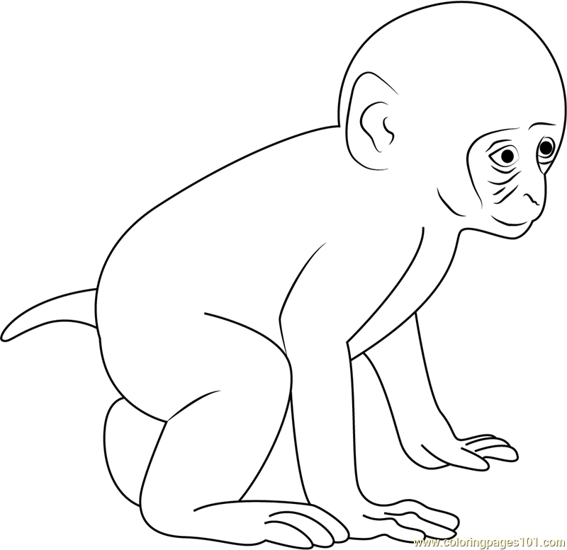 Baby Monkey Coloring Page For Kids Free Monkey Printable Coloring 