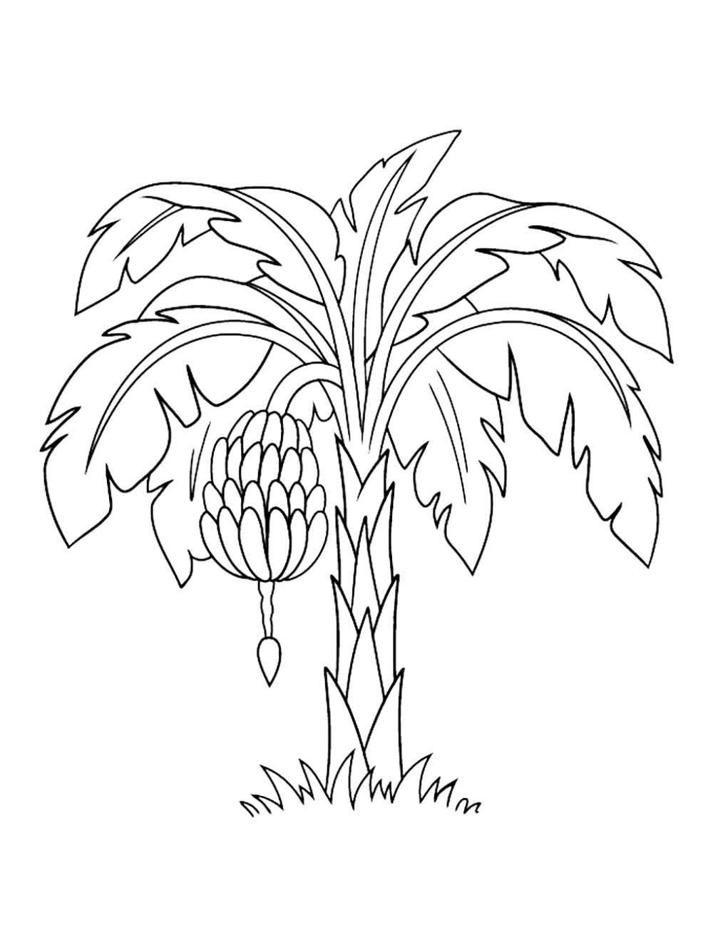 Banana Tree Coloring Pages
