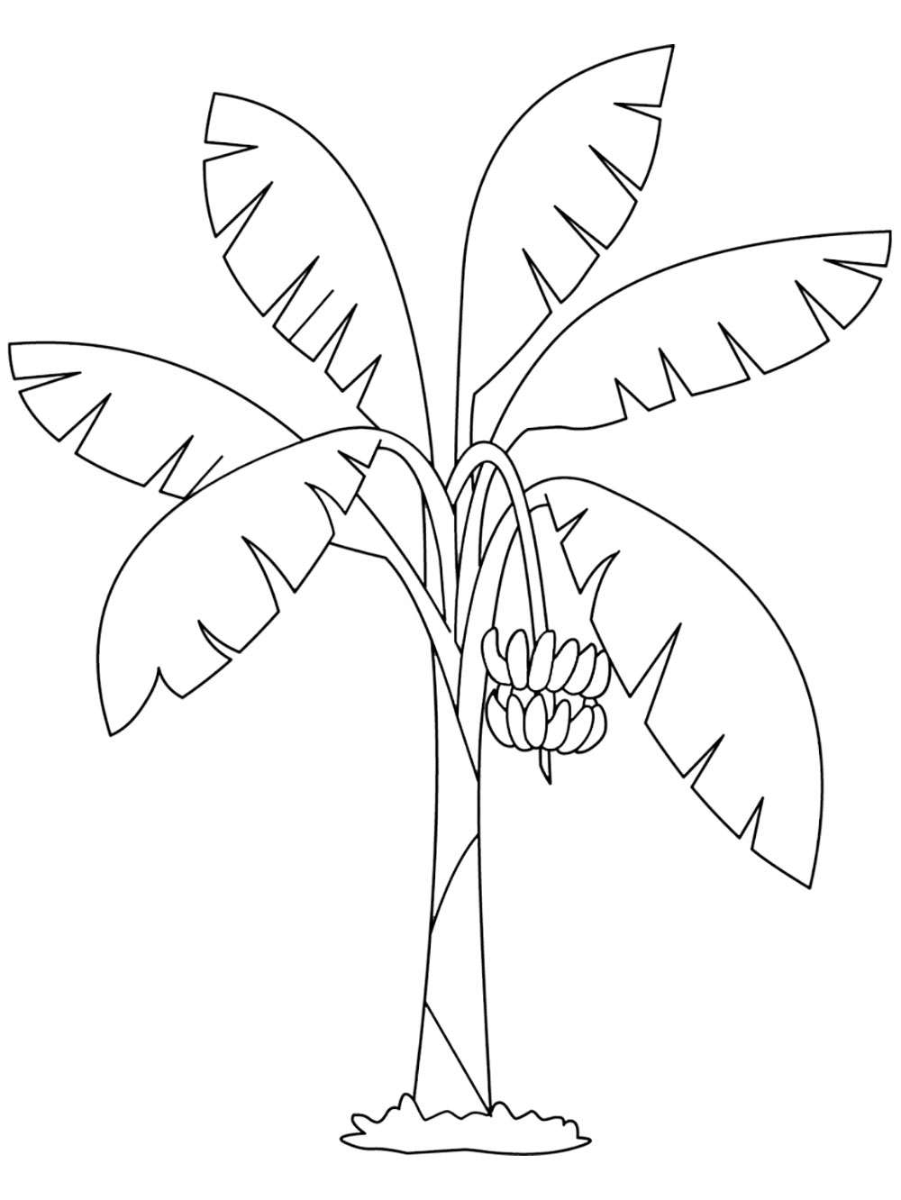 Banana Tree Coloring Pages