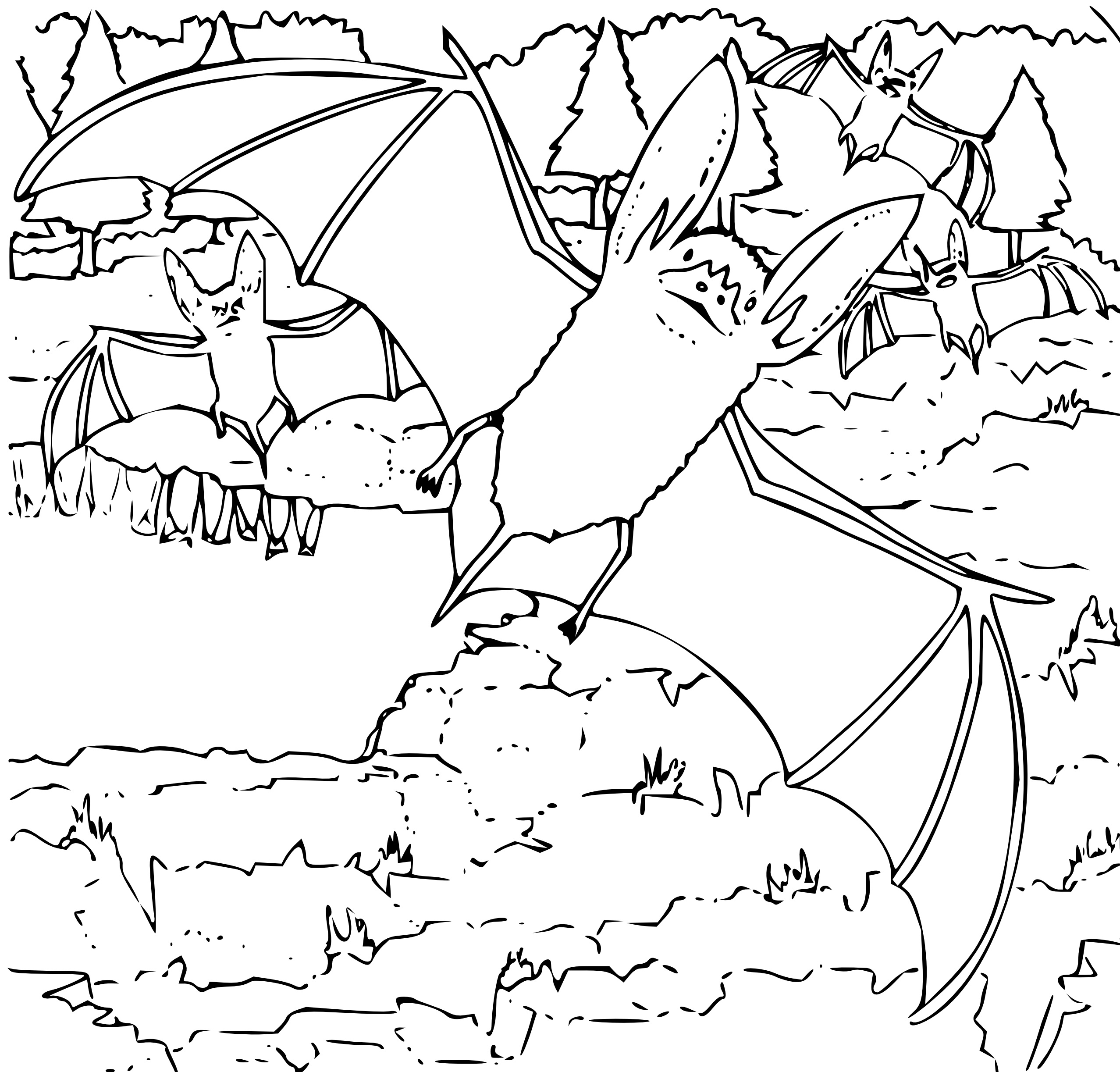 Bat Printable Coloring Pages Updated 2023 