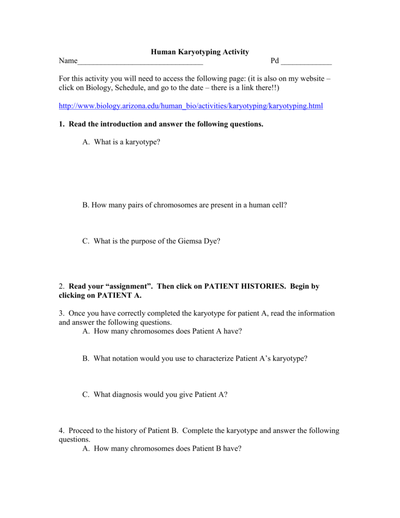 Biology Karyotype Worksheet Answers Key Db excel