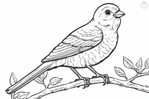 Birdie Coloring Pages