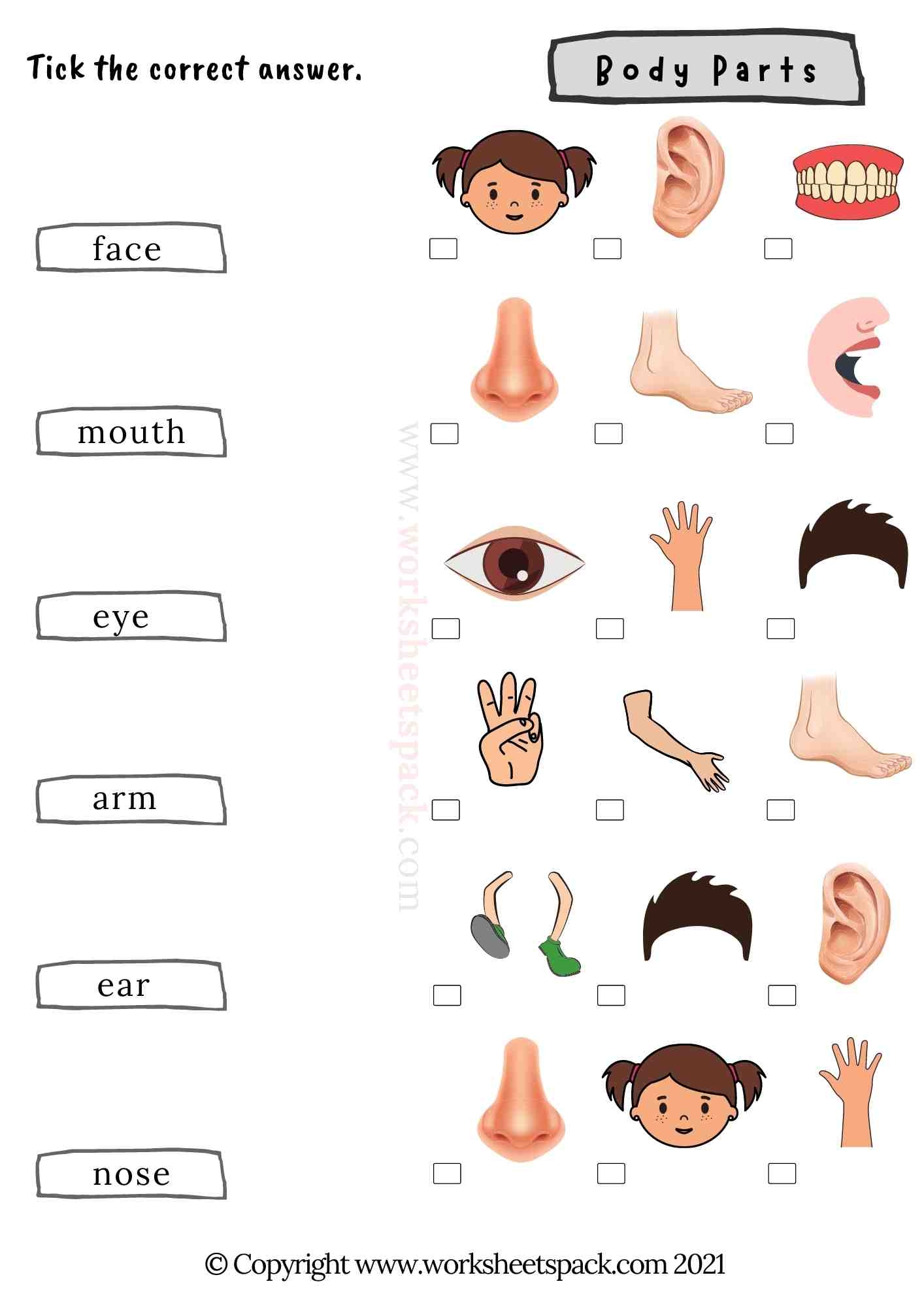 free printable body parts activities for toddlers