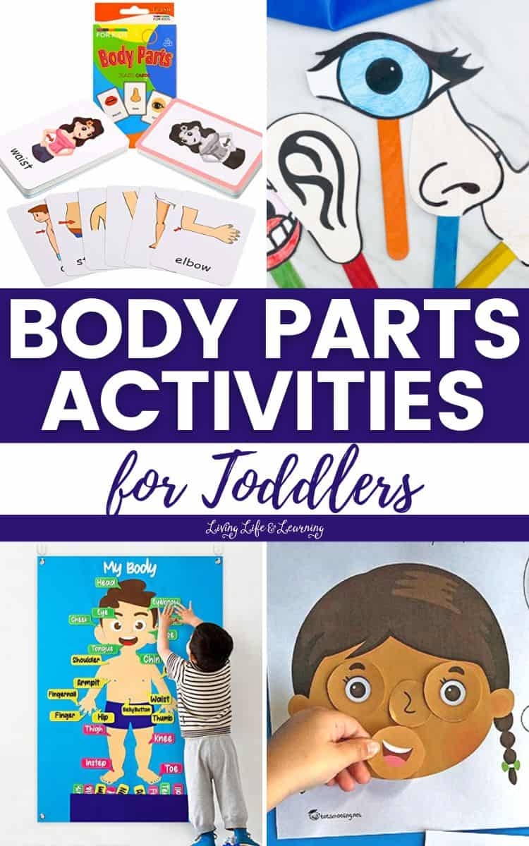 Body Parts Activities For Toddlers