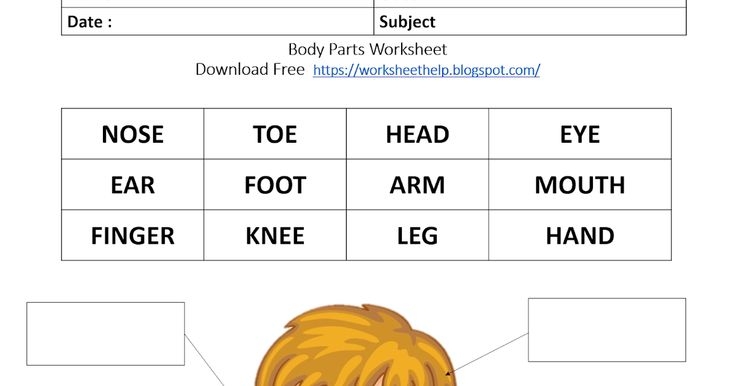 Body Parts Poster Worksheet Grade 1 Grade 1 School Worksheets 