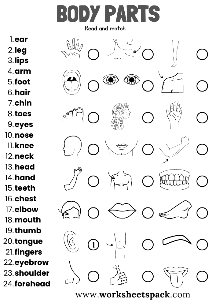 body parts worksheet preschool free printable