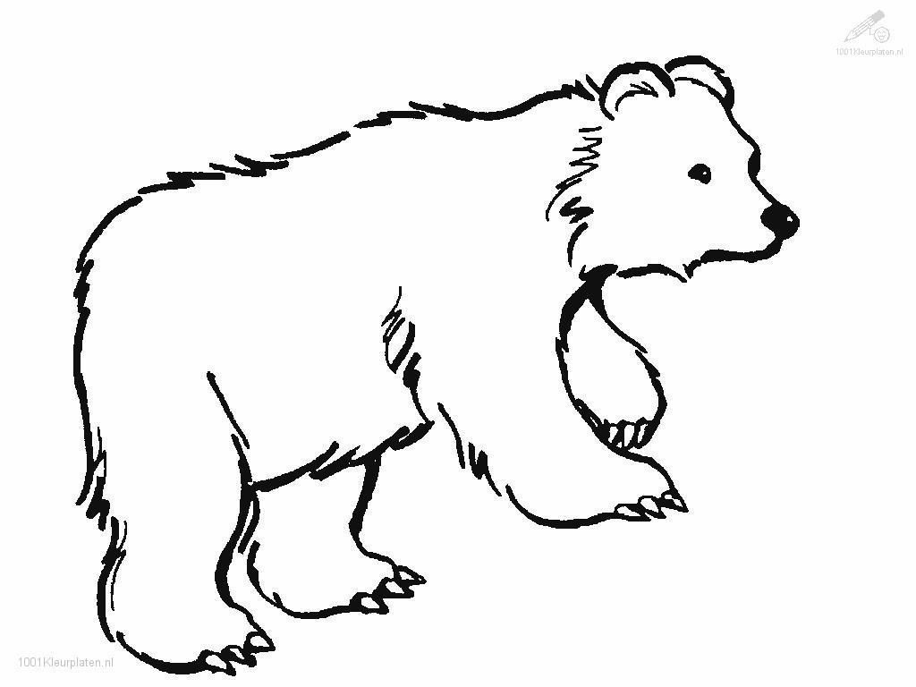 Brown Bear Coloring Pages