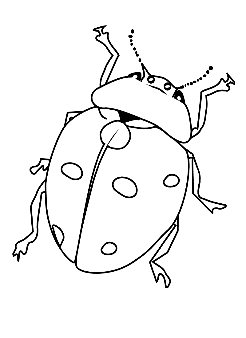 Bug Color By Number Sheets