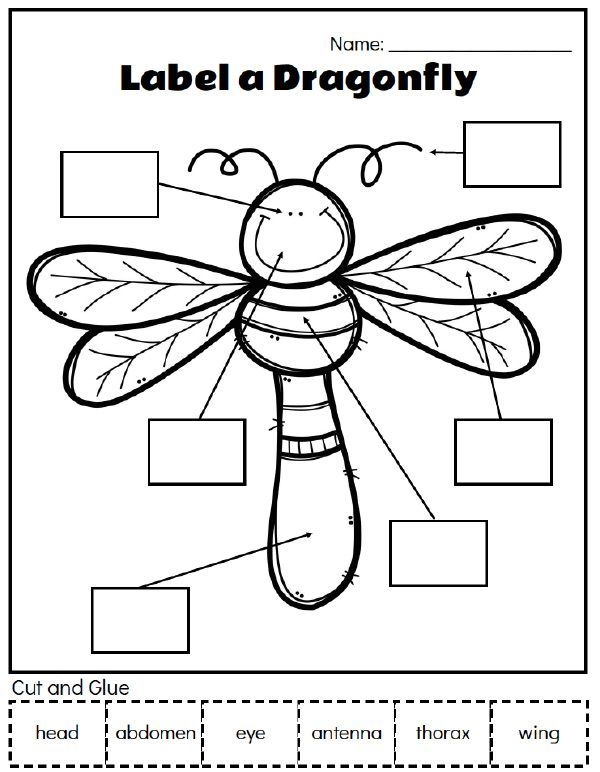 Bugs And Insects Preschool Worksheets
