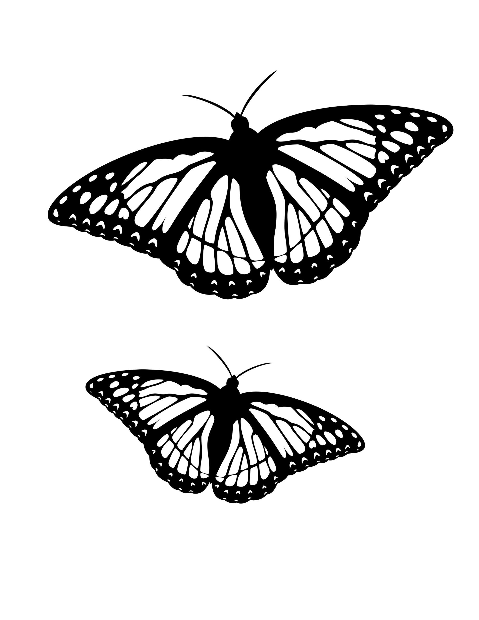 Butterfly Coloring Pages For Free