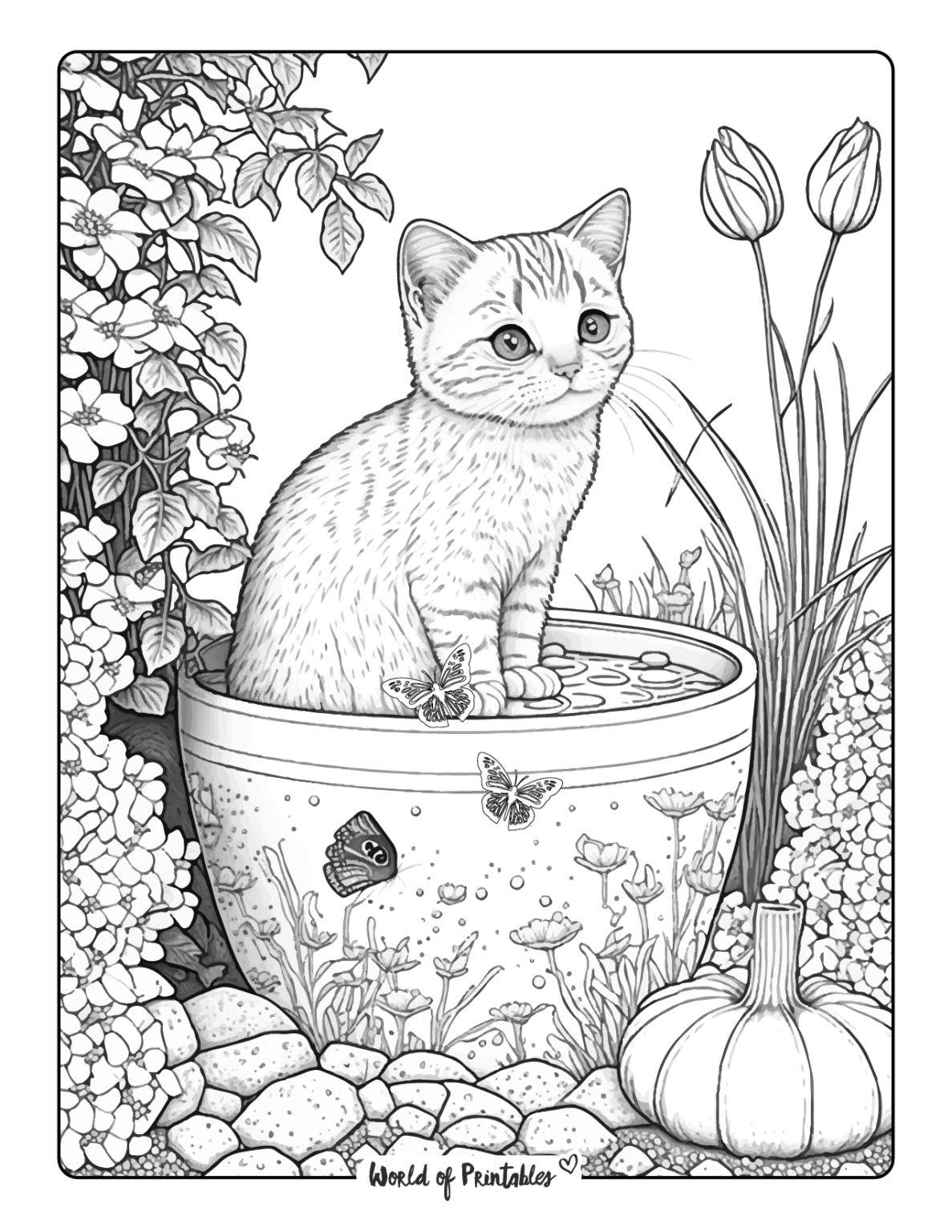 Cat Coloring Pages Free Printable