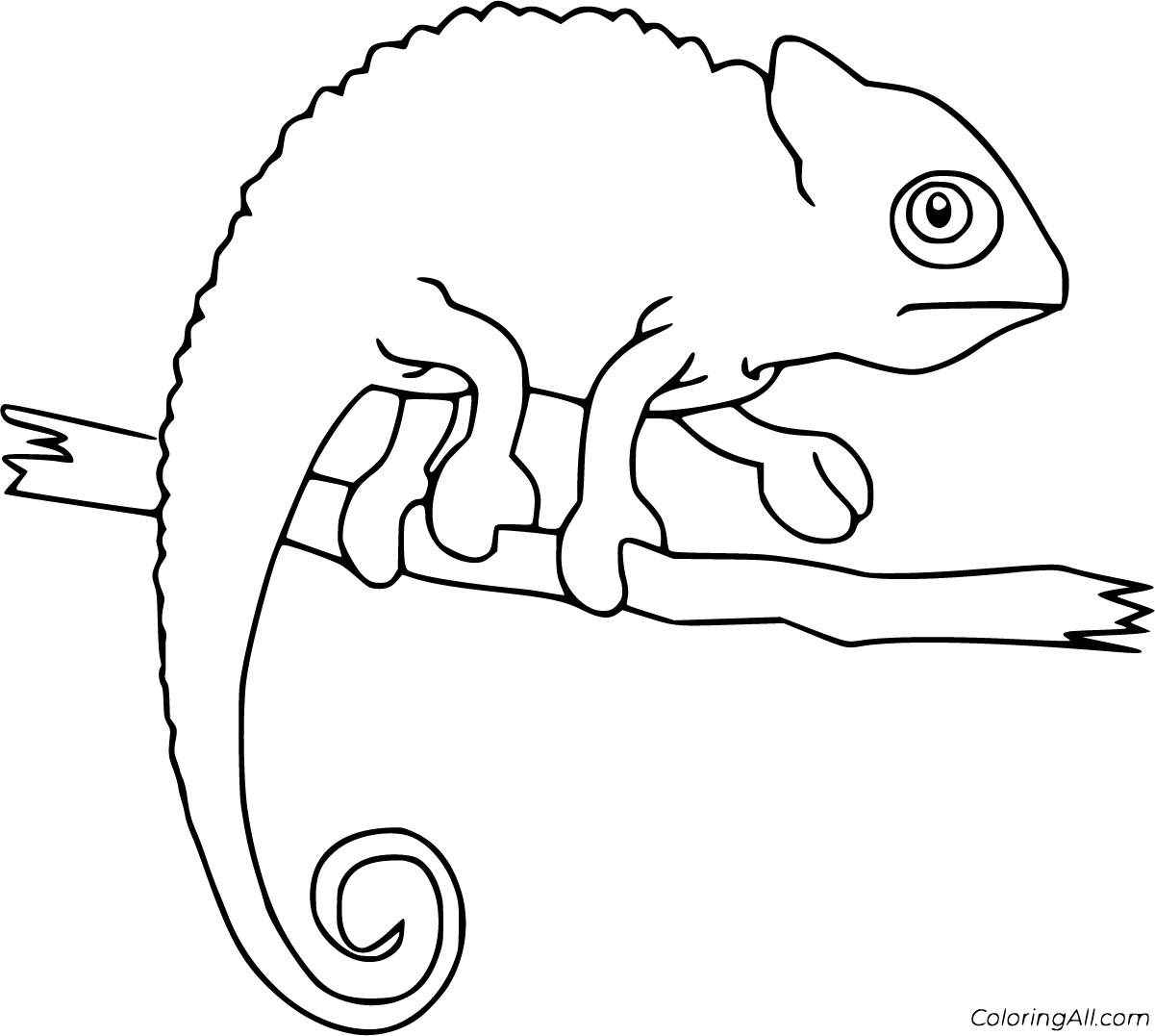Chameleon Coloring Pages 35 Free Printables ColoringAll