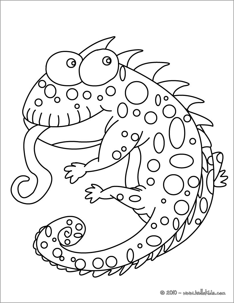 Chameleon Coloring Pages ColoringBay
