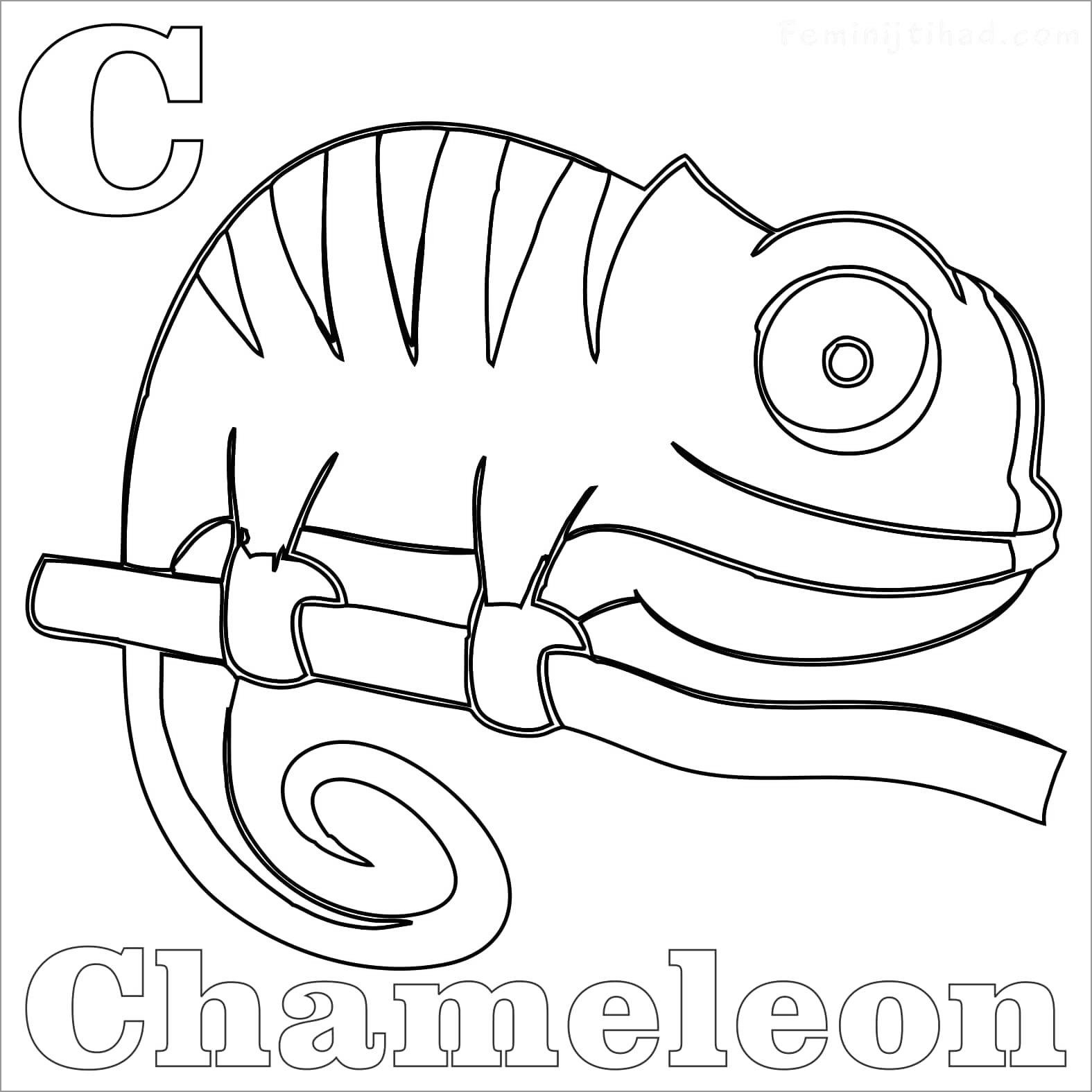 Coloring Pages Chameleon