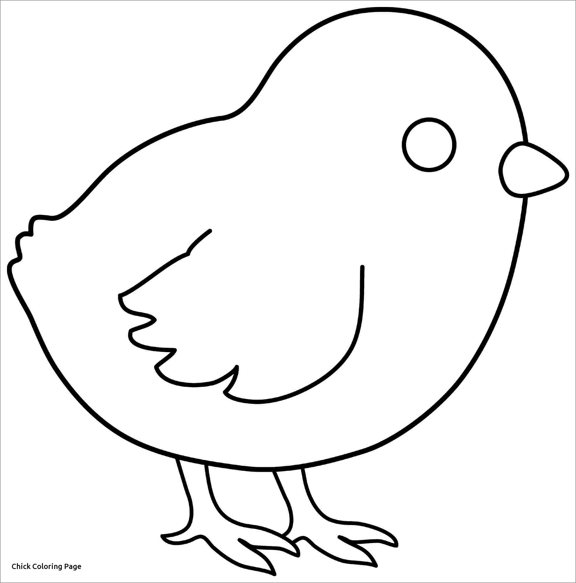 Chick Coloring Pages ColoringBay