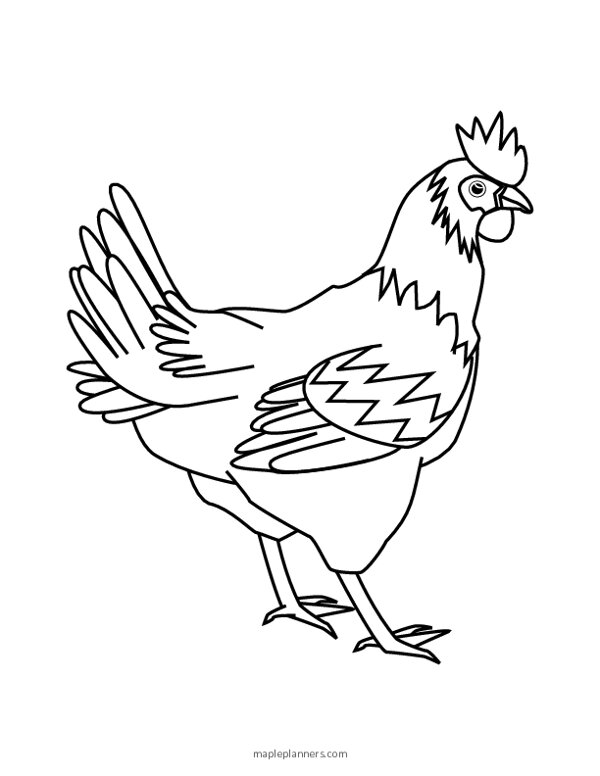 free chicken coloring pages