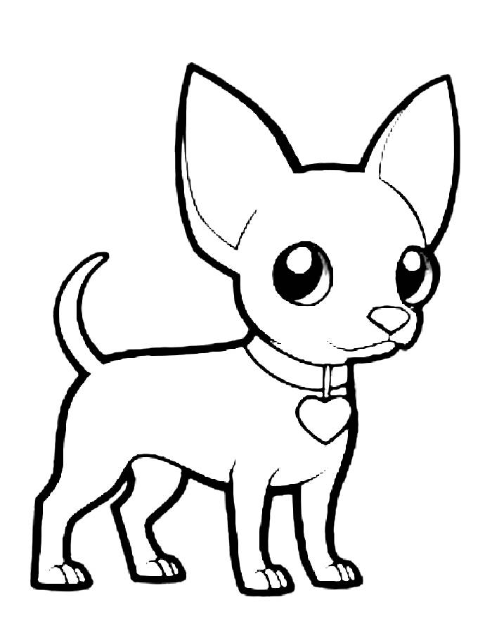 Chihuahua Coloring Pages Free Printable PDF 