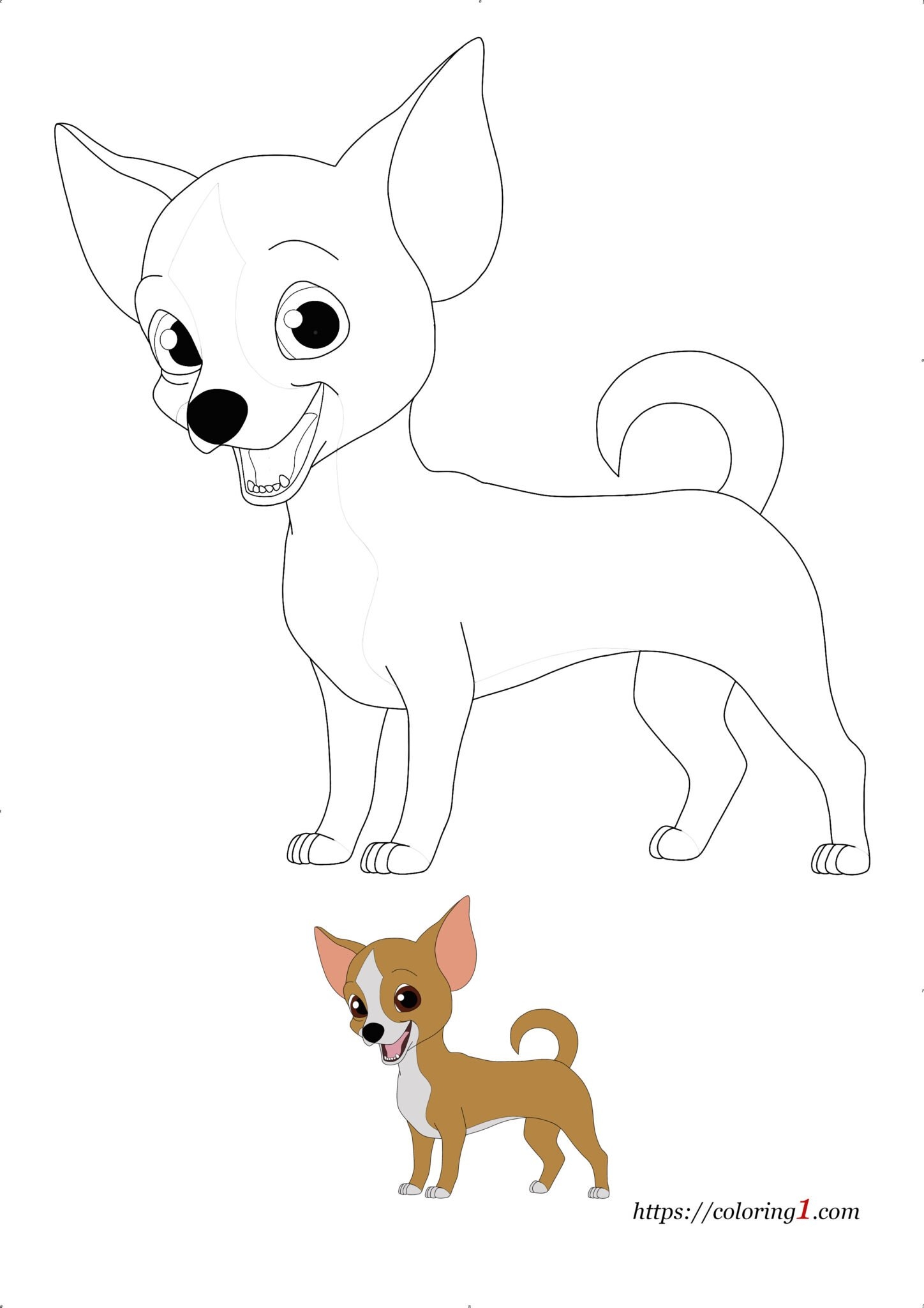 Chihuahua Dog Coloring Pages